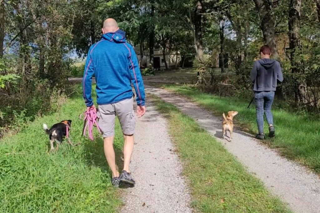 Hundegspür - Spazieren mit Manieren - Begegnungen mit System Hundetraining