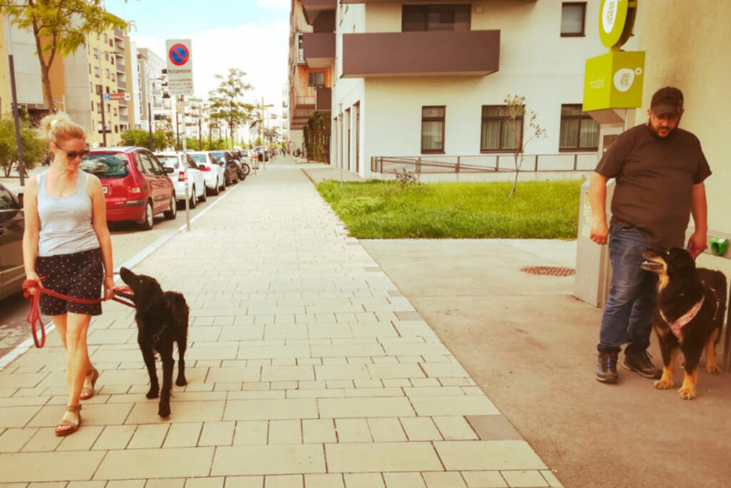 Hundegspür Begegnungstraining Hundetraining