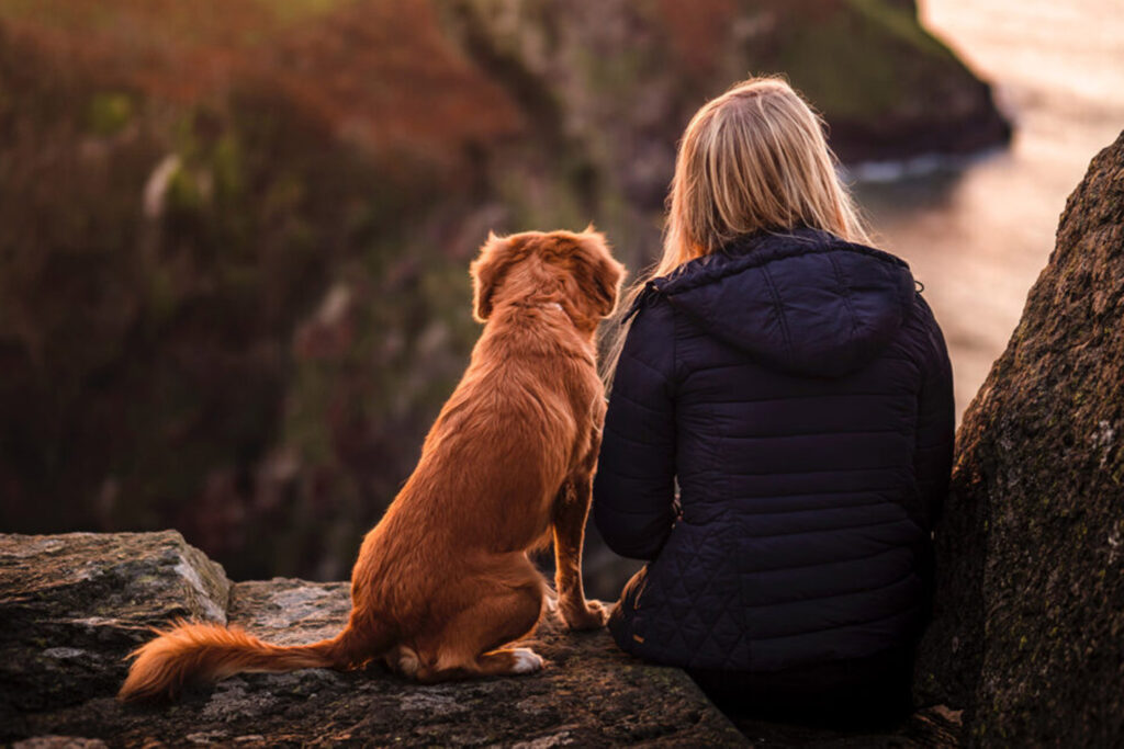 Hundegspür Tiersystemik - Mensch-Hund-Team / Unsplash, Jamie Street