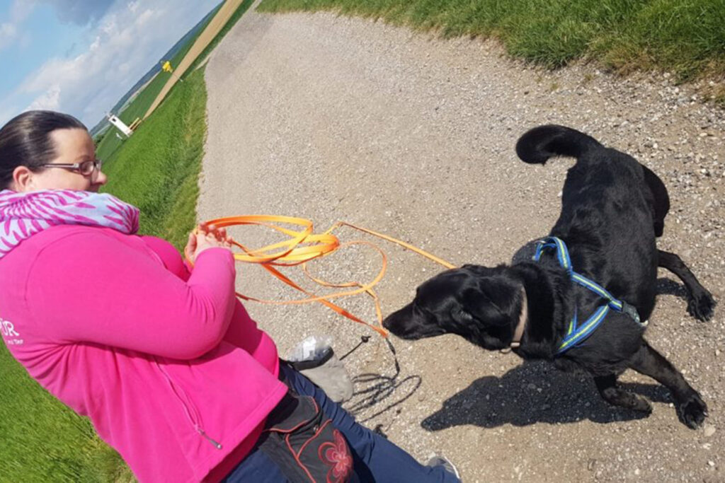 Hundegspür - Hunde Einzeltraining