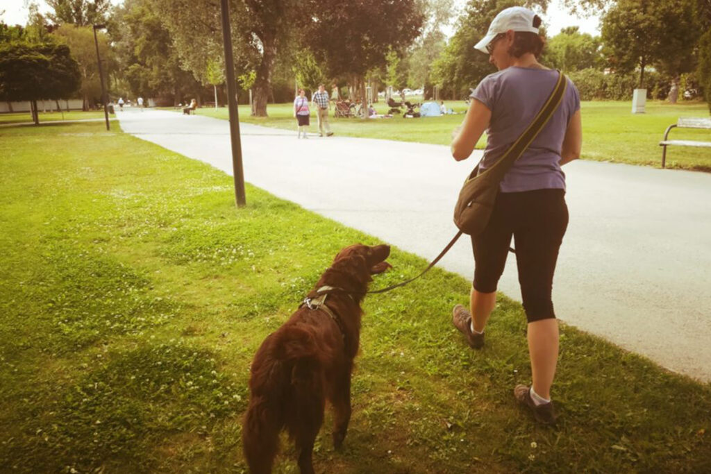 Hundegspür - Hunde Einzeltraining