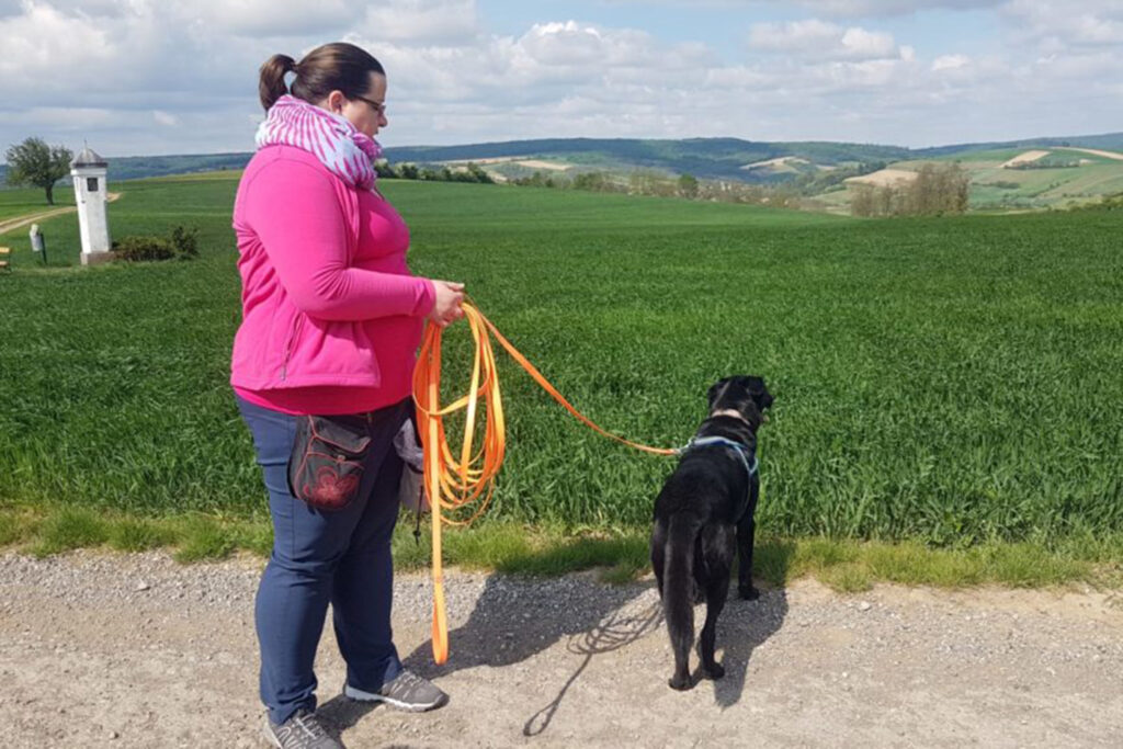 Hundegspür - Hunde Einzeltraining