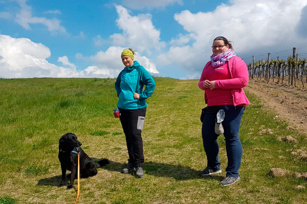 Hundegspür - Hunde Einzeltraining