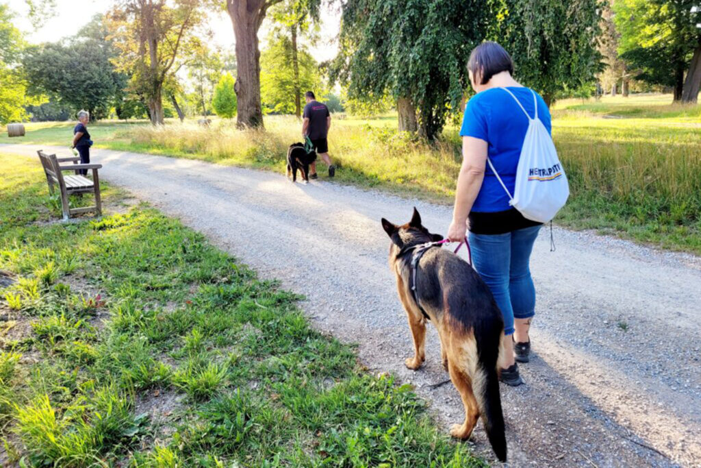 Hundegspür - Spazieren mit Manieren - Begegnungen mit System Hundetraining