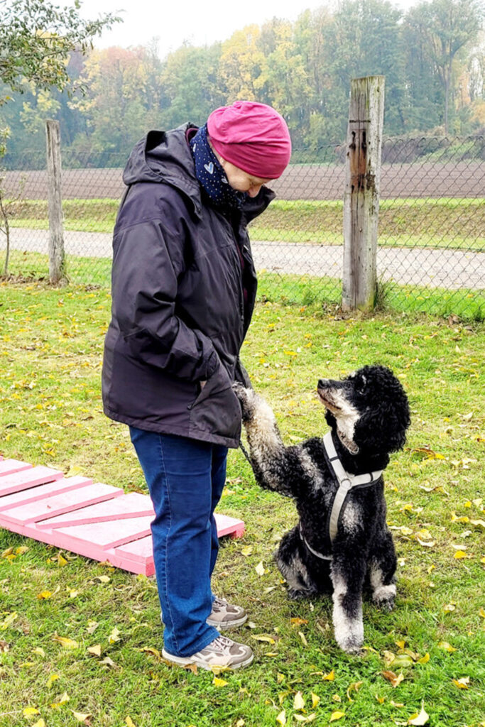 Hundegspür - Schritt für Schritt zur Verbundenheit / Hundeschule