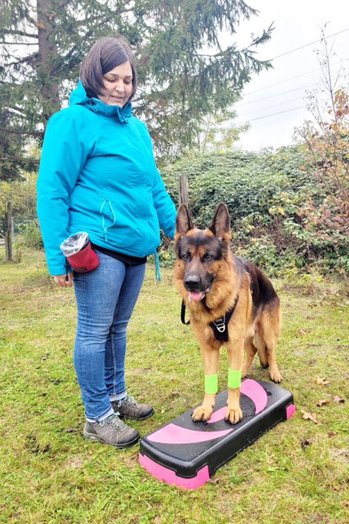 Hundegspür - Schritt für Schritt zur Verbundenheit / Hundeschule