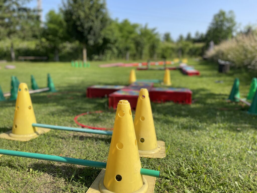 Hundegspür Selbstturner Parcours Erfahrungsbericht / Bild: Hundegspür