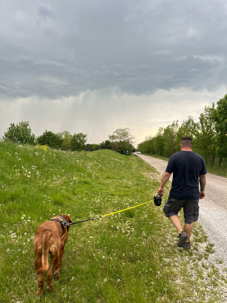 Hundegspür-Blog: Erfahrungsbericht Hundetraining by Design: "Spezial-Fall" Donny