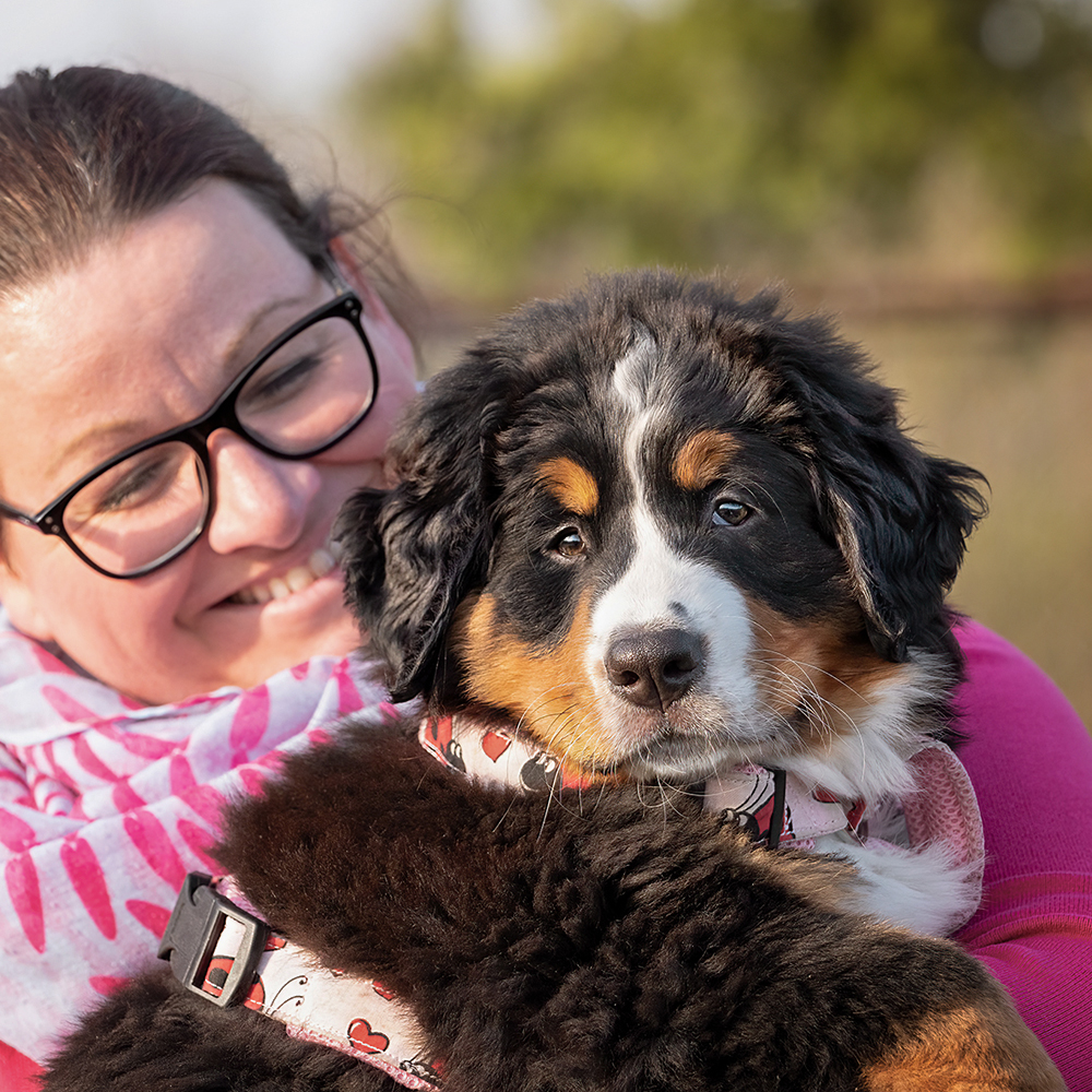 Welpen 1x1 mit Hundegspür ©Hundegspür